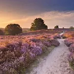 Heide Doehle Egestorf